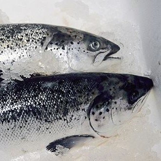 新發(fā)地三文魚案板檢測(cè)出新冠病毒，，北京多家超市連夜下架三文魚，北京新增三個(gè)病例
